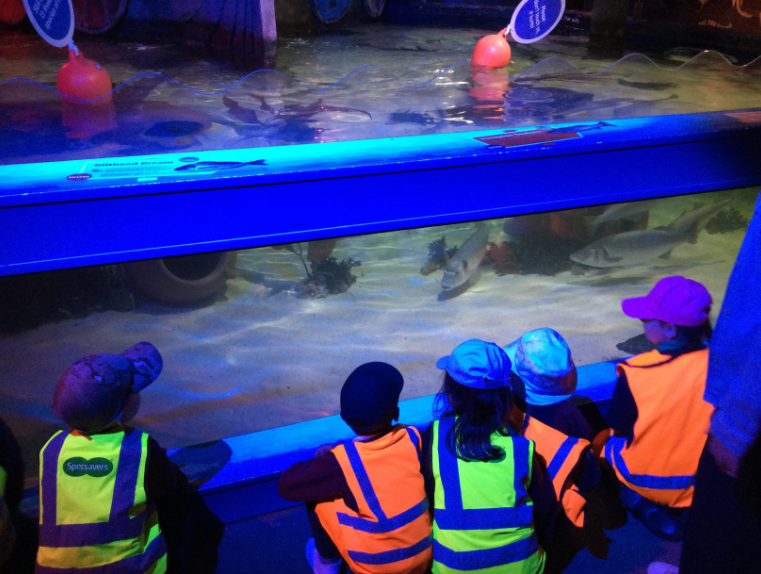 Sea Life